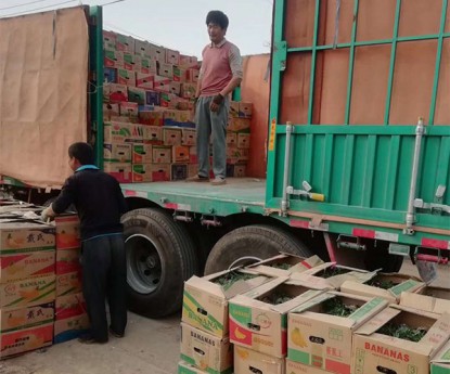 發(fā)貨現(xiàn)場(chǎng)