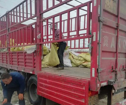 發(fā)貨現(xiàn)場(chǎng)