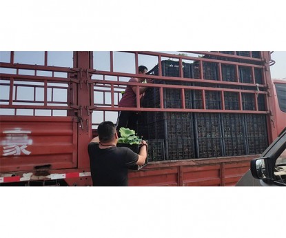 發(fā)貨現(xiàn)場(chǎng)