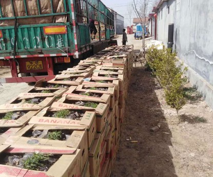 發(fā)貨現(xiàn)場(chǎng)