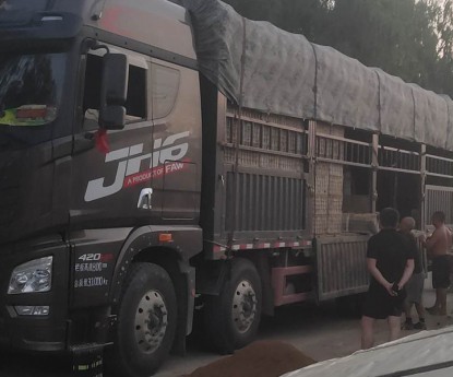 發(fā)貨現(xiàn)場(chǎng)