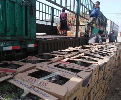 發(fā)貨現(xiàn)場(chǎng)