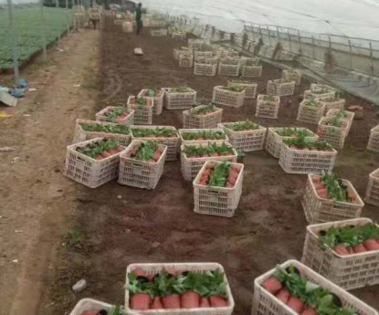 發(fā)貨現(xiàn)場(chǎng)